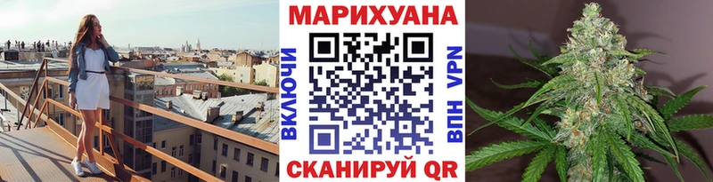 Каннабис гибрид  Ветлуга 